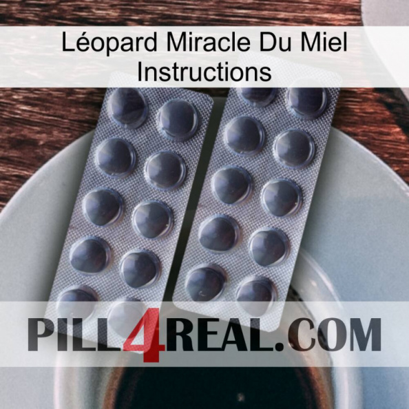Léopard Miracle Du Miel Instructions 31.jpg